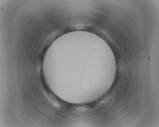 X0000078310645200611251534