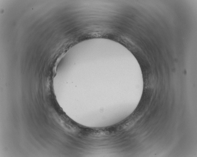 X0000078310646200611251534