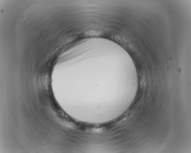 X0000078310647200611251534