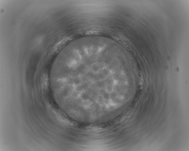 X0000078310648200611251534