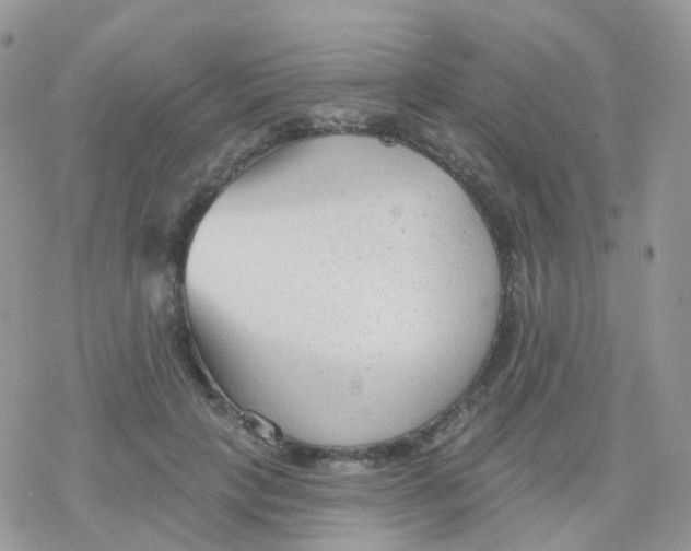 X0000078310649200611251534