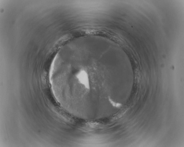 X0000078310650200611251534