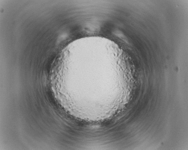 X0000078310651200611251534