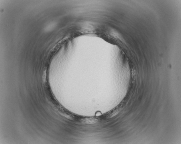 X0000078310652200611251534