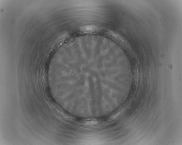 X0000078310653200611251534