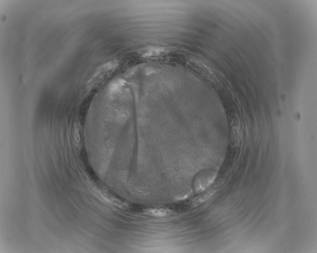 X0000078310654200611251534