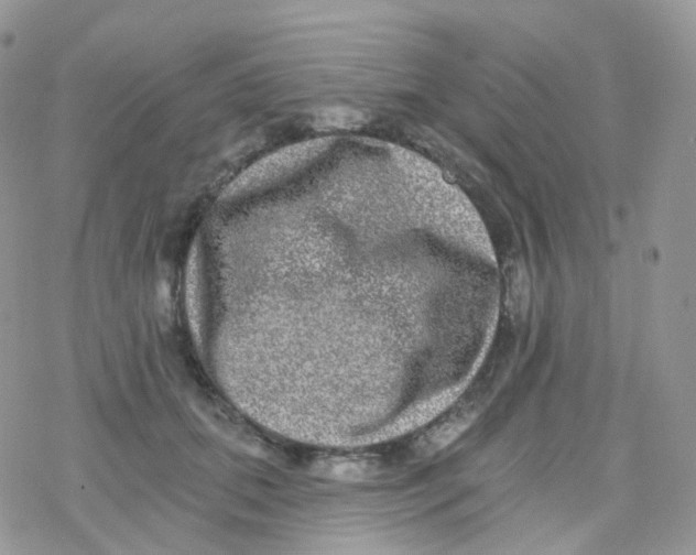 X0000078310655200611251534