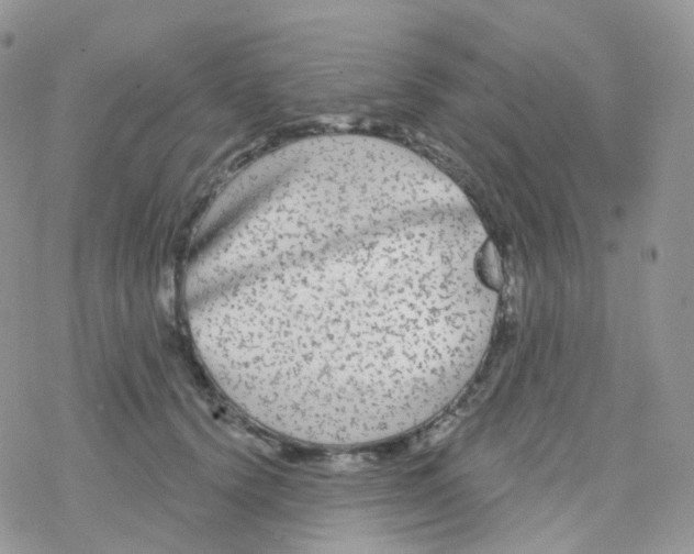 X0000078310656200611251534