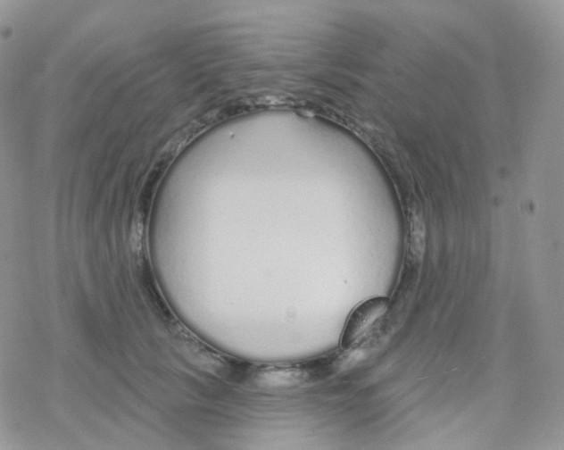 X0000078310657200611251535