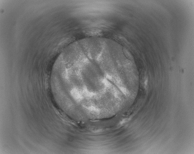 X0000078310658200611251535