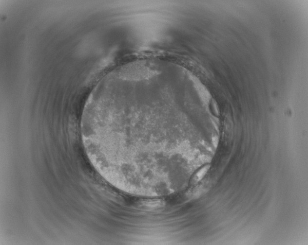 X0000078310659200611251535