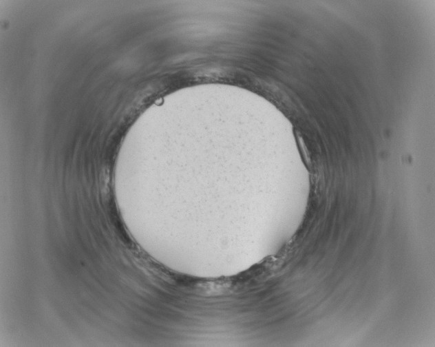 X0000078310660200611251535