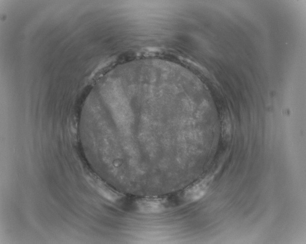 X0000078310661200611251535