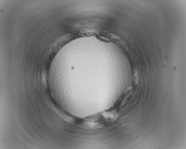 X0000078310662200611251535