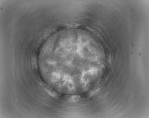 X0000078310663200611251535