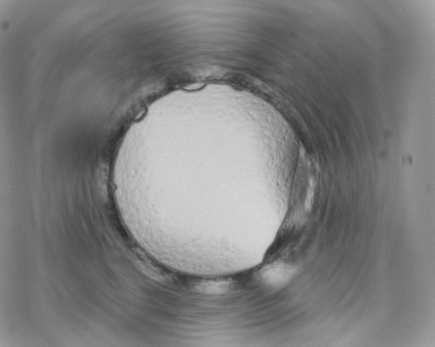 X0000078310664200611251535