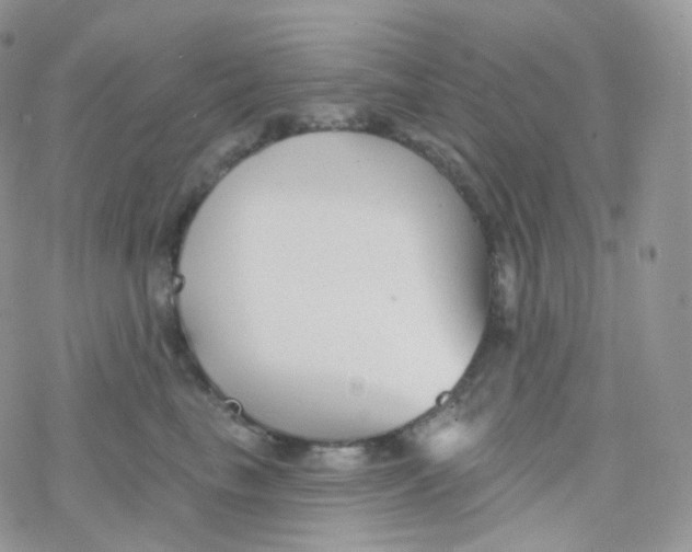 X0000078310665200611251535