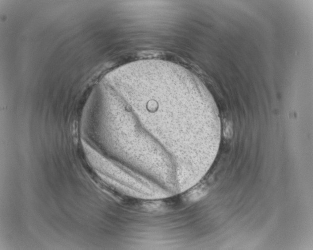 X0000078310666200611251535