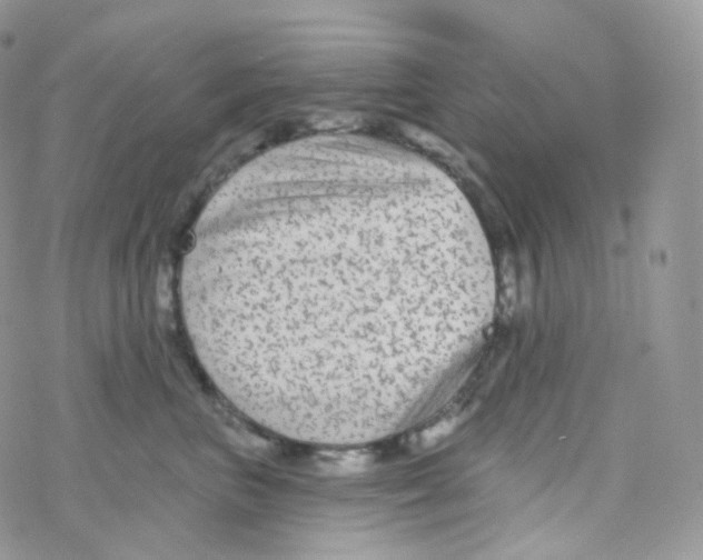 X0000078310667200611251535