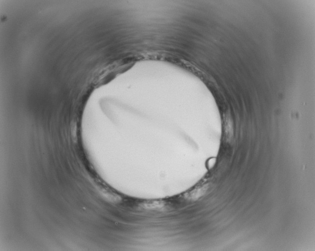 X0000078310668200611251535