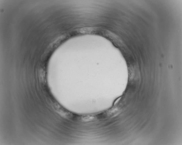 X0000078310669200611251535