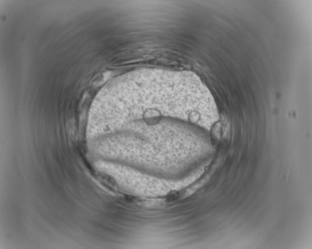 X0000078310670200611251535