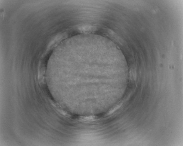 X0000078310671200611251535