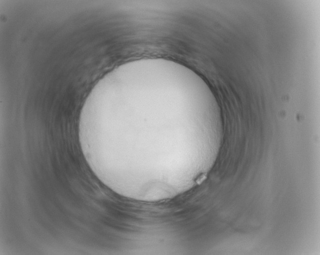 X0000078310672200611251535