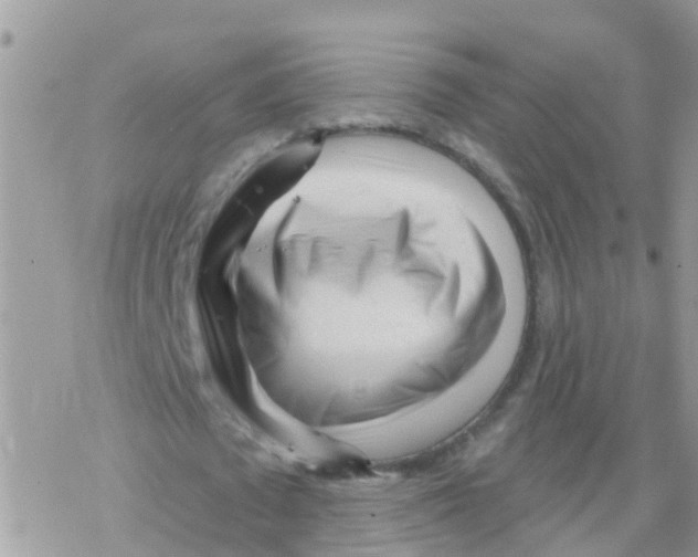 X0000078310673200611251534