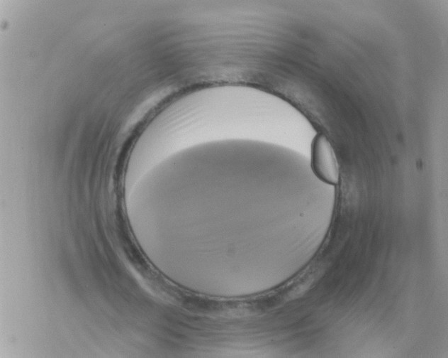 X0000078310674200611251534