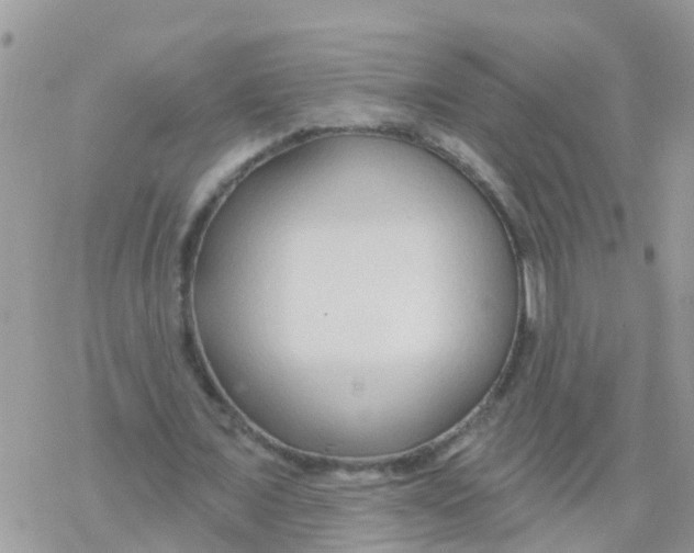 X0000078310675200611251534