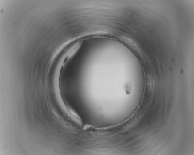 X0000078310676200611251534