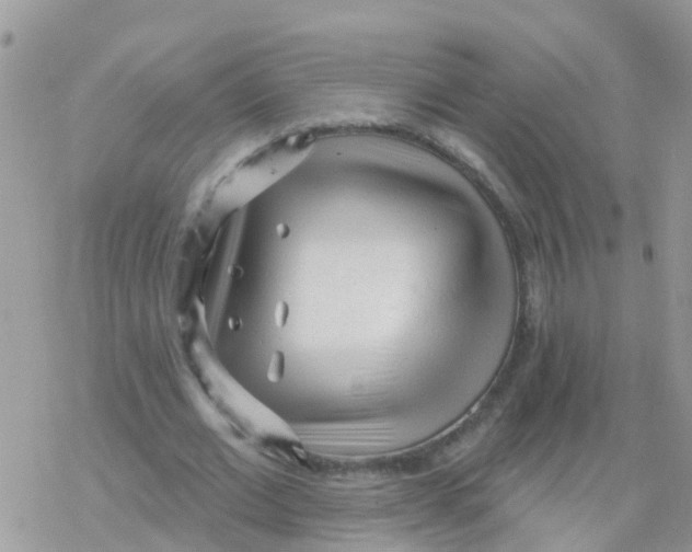 X0000078310677200611251534