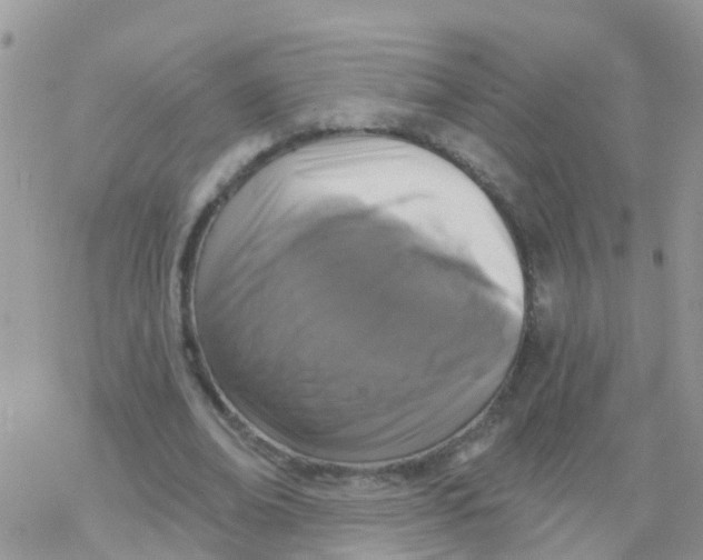 X0000078310678200611251534