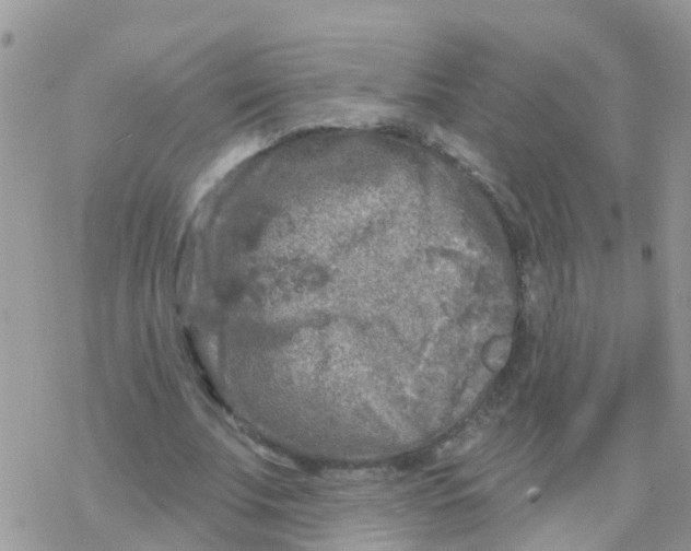 X0000078310679200611251534