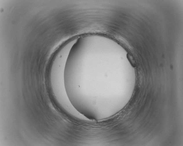 X0000078310680200611251534