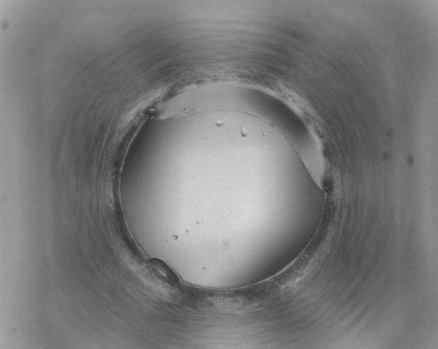 X0000078310681200611251534