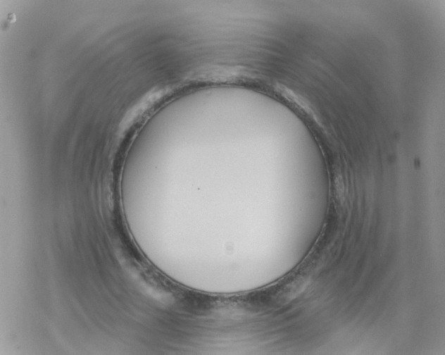 X0000078310682200611251534