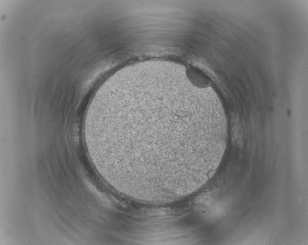 X0000078310683200611251534