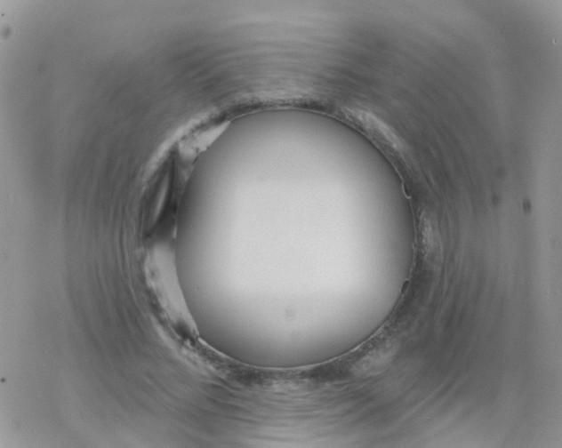 X0000078310684200611251534