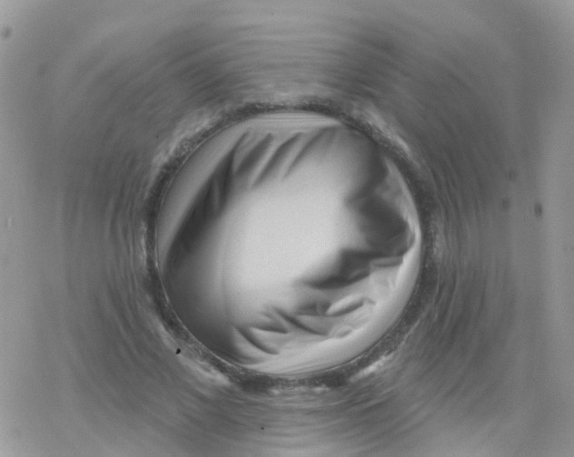 X0000078310685200611251534