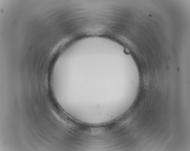 X0000078310686200611251534