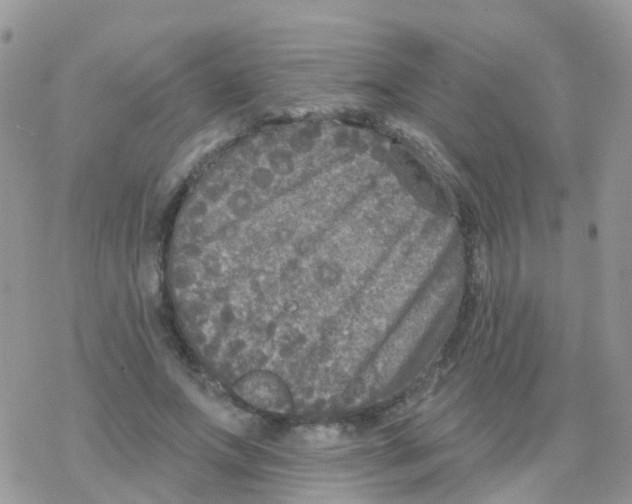 X0000078310687200611251534