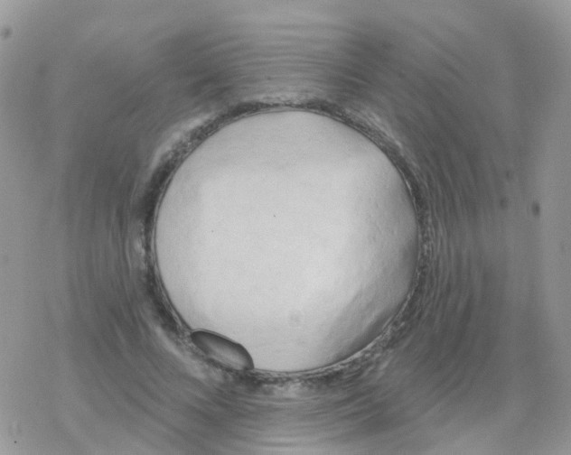 X0000078310688200611251534