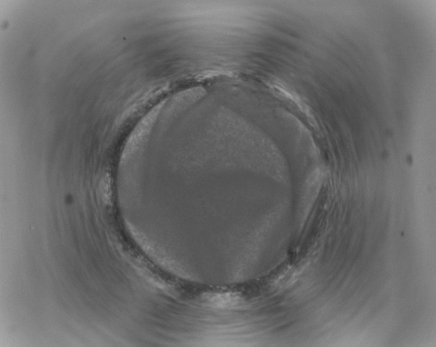 X0000078310689200611251534