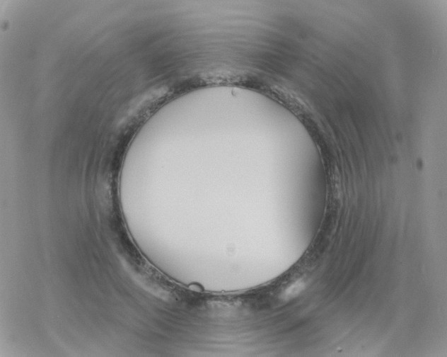 X0000078310690200611251534