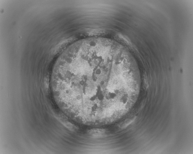 X0000078310691200611251534