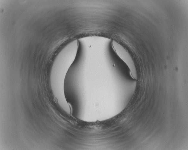 X0000078310692200611251534