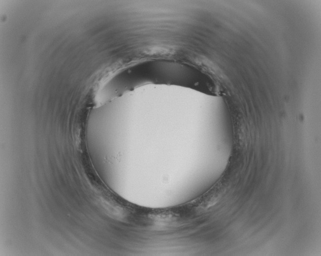 X0000078310693200611251534