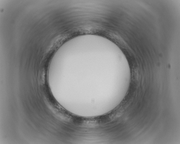 X0000078310694200611251534